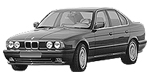 BMW E34 B196F Fault Code